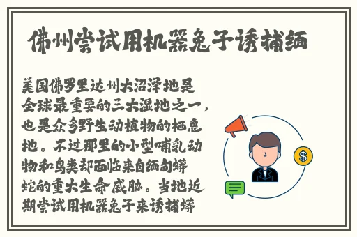 天堂AV大芭蕉伊人